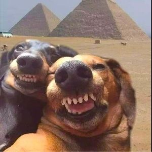 Welcome To My Closet!!